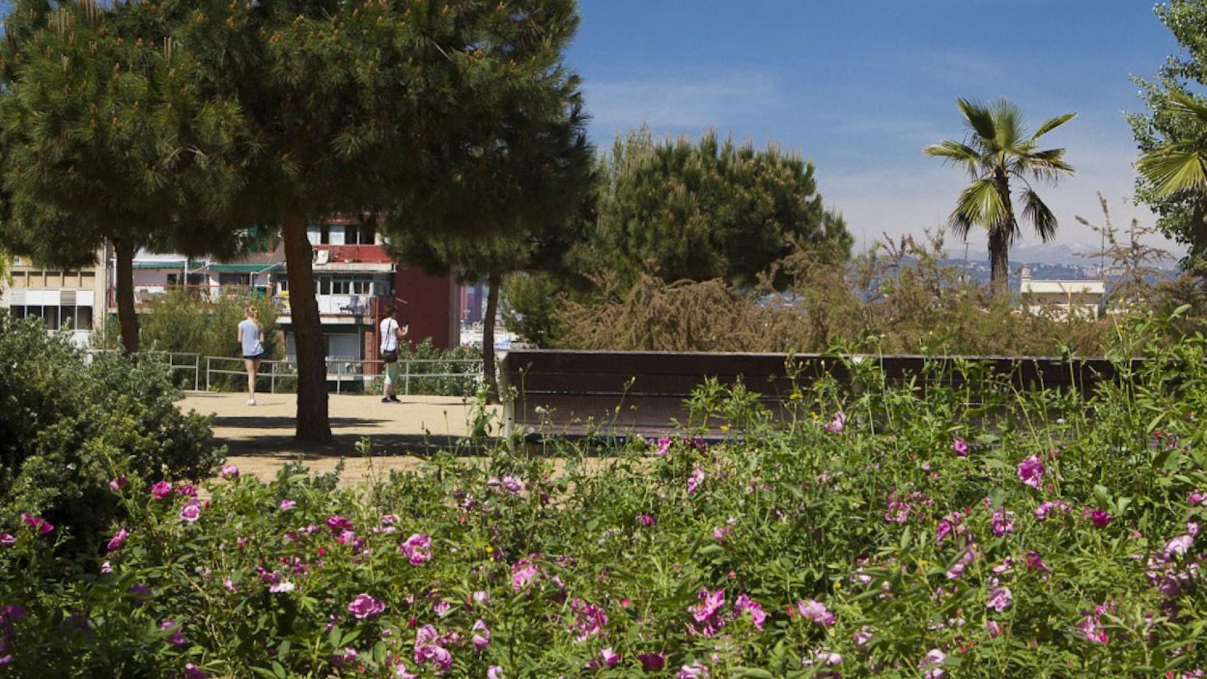 Fin de semana soleado en el parque de la Primavera / AJUNTAMENT DE BARCELONA