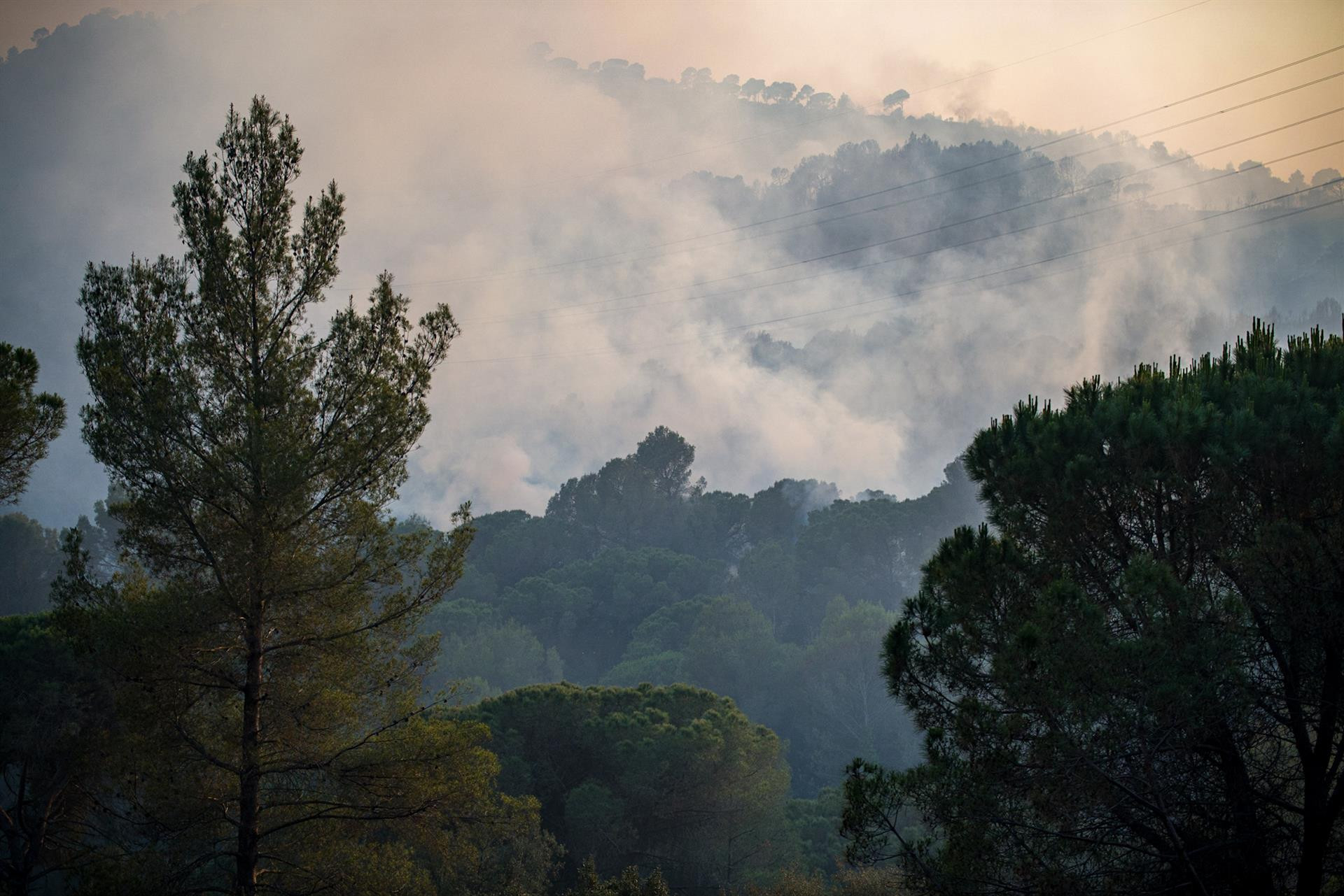 El incendio en Castellví de Rosanes (Barcelona) afecta a la Serra de l’Ataix, a 13 de julio / Lorena Sopêna - Europa Press