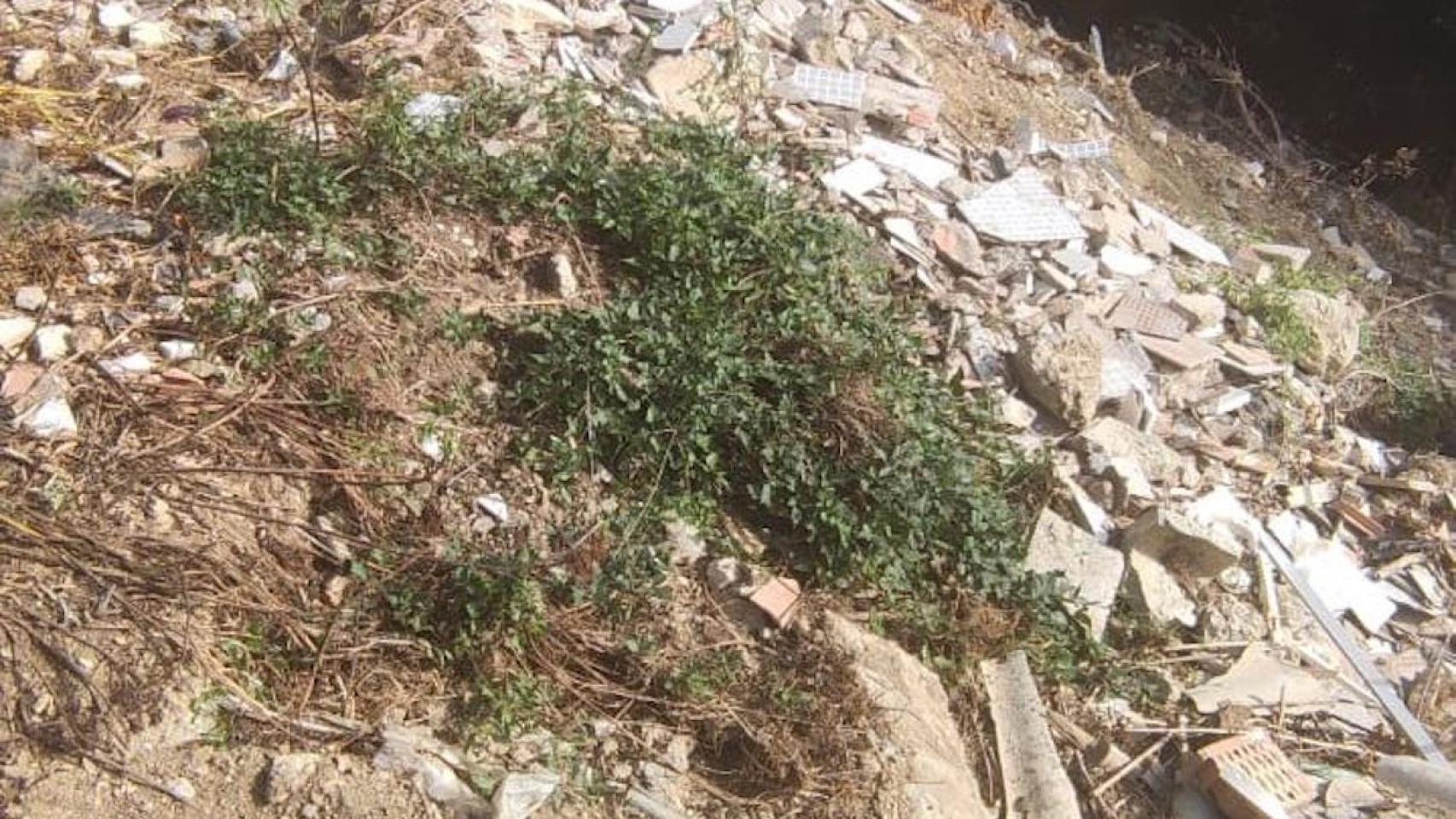 Vertido ilegal de amianto en Sarrià-Sant Gervasi / GUARDIA URBANA