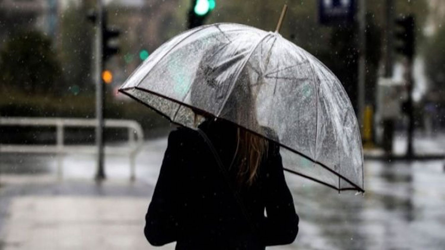 Una mujer se protege del frío y la lluvia con un paraguas / EFE