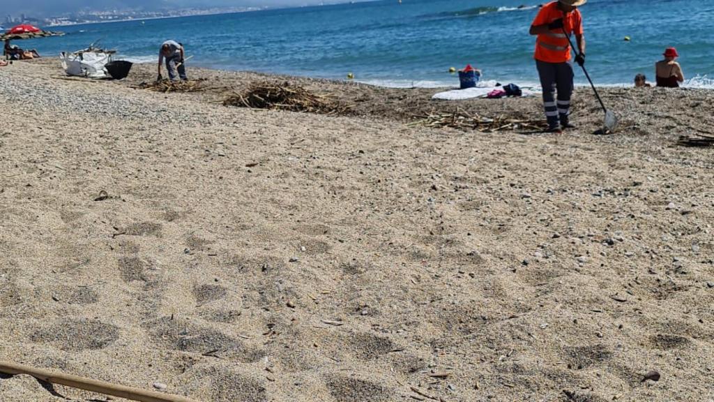 Trabajadores del AMB limpiando la playa del Fòrum tras un temporal / CEDIDA