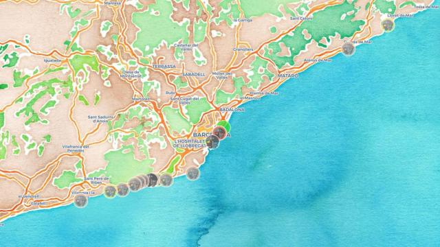 MedusApp, la aplicación de reporte de avistamientos y picaduras de medusa