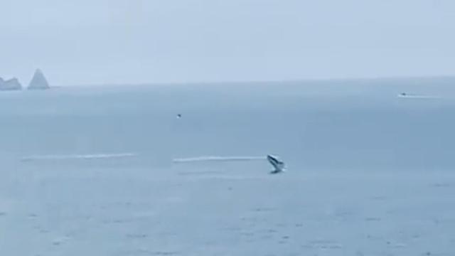 Una ballena ante la costa de Pals