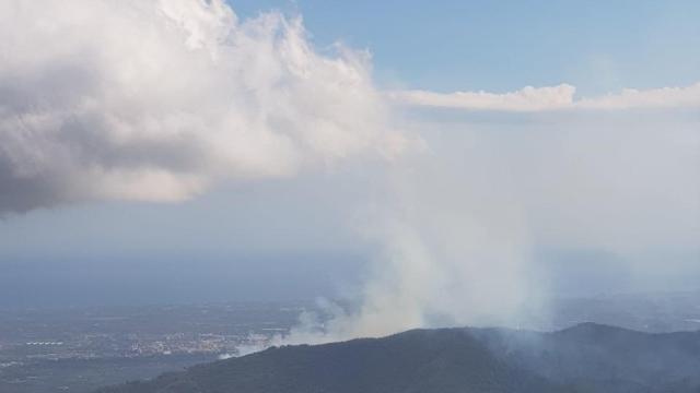 Incendio en La Selva del Camp