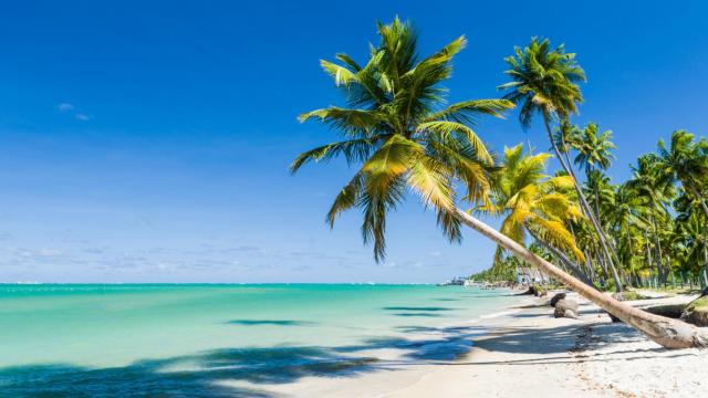 Vacaciones de ensueño