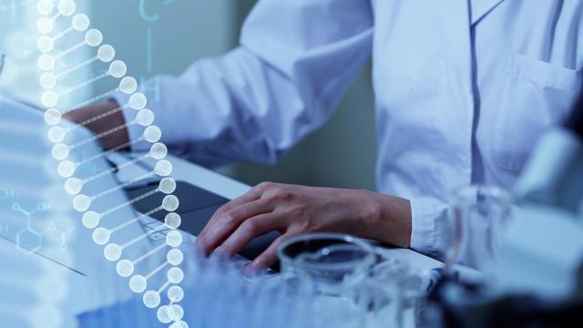 Foto de archivo de investigadores médicos