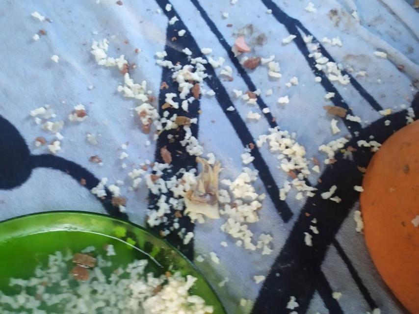 Platos con comida, llenos de agua