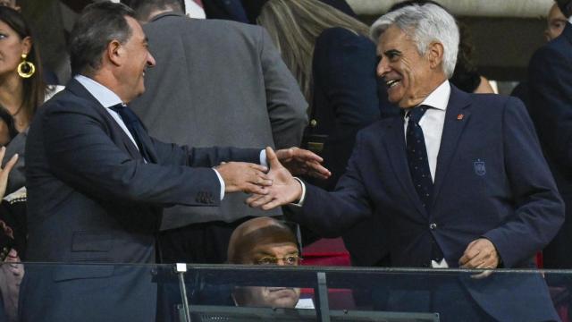 Pedro Rocha, presidente en funciones de la RFEF, en el partido de España contra Chipre