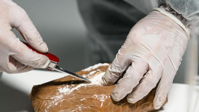 Un fajo de cocaína