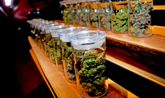 La Guàrdia Urbana ha detenido a cuatro personas en un club de cannabis / FEDCAC