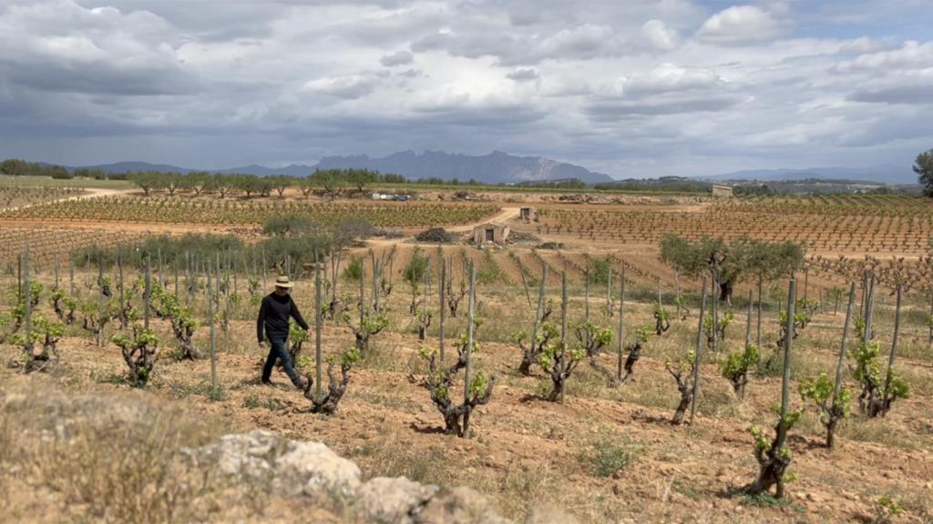 Ton Mata de Corpinnat, otro de los testimonios del documental