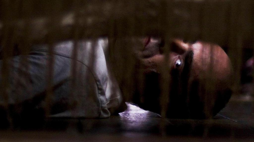 Luis Tosar a 'Mientras duermes'