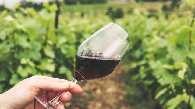 Vino tinto