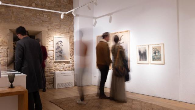 Galería The Eleven House