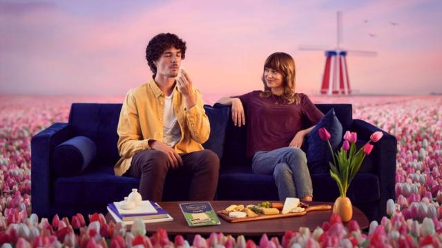 Campaña de Millán Vicente