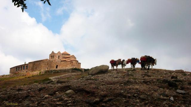 Las mulas de la Mola
