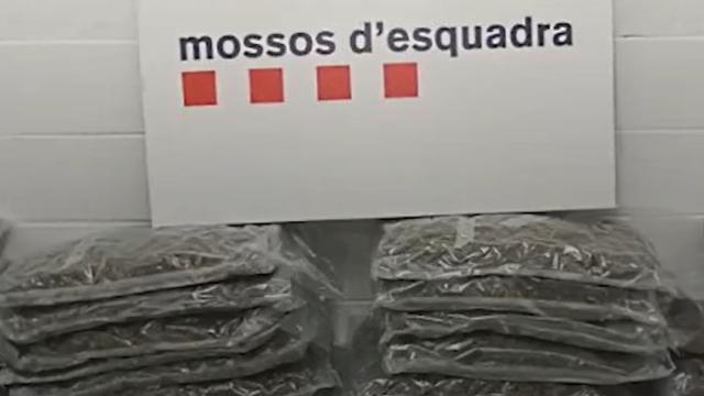 Bolsas de marihuana halladas en el camión