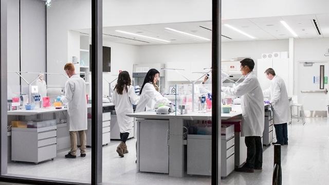 Laboratorio farmacéutico de Novartis