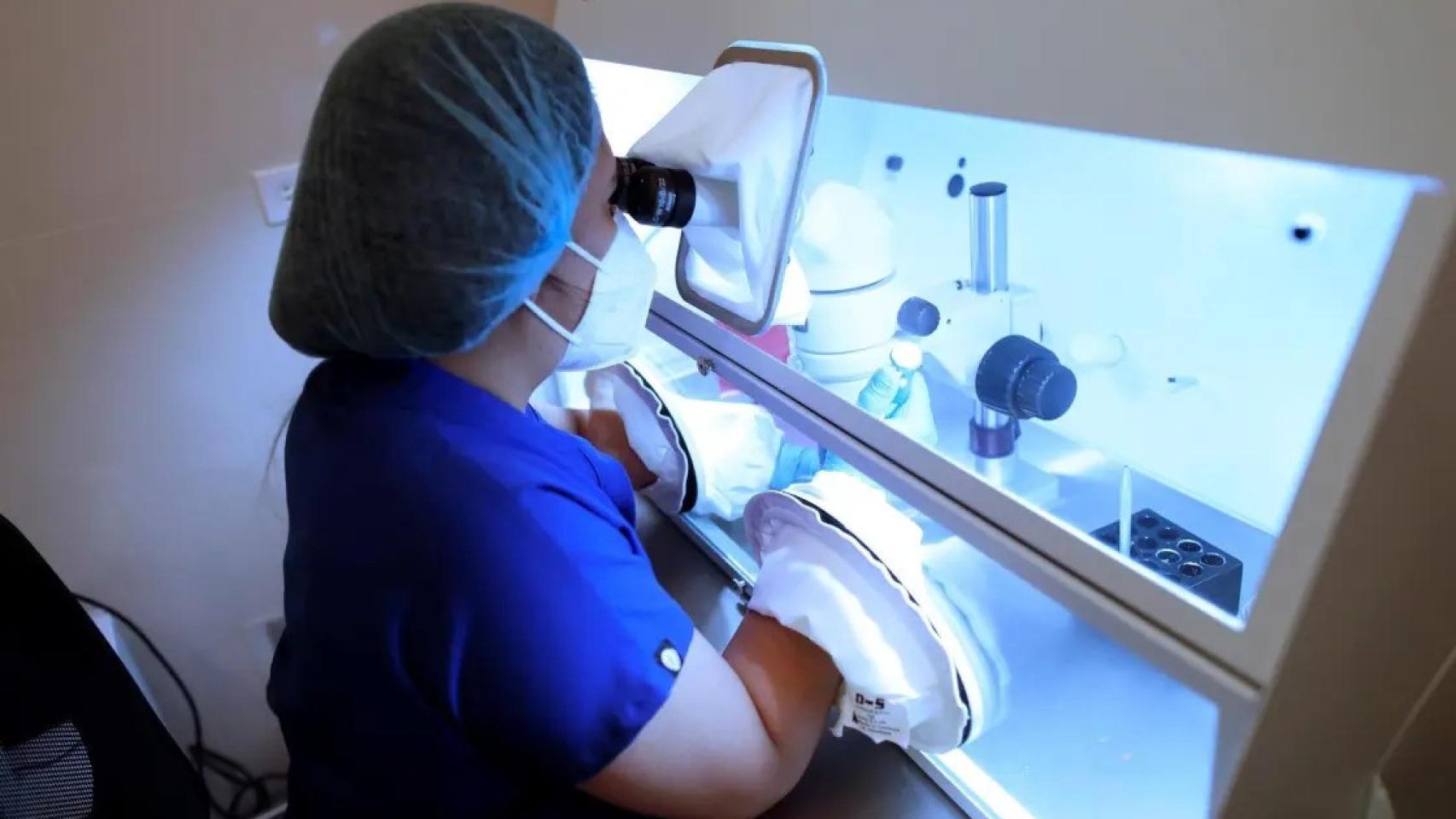 Una sanitaria en un proceso de fecundación 'in vitro'