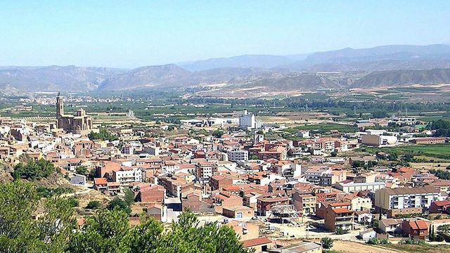 Almenar pone fin al mes de diciembre con 113 personas en paro
