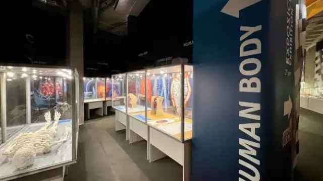 Vitrinas de Expo Piezas