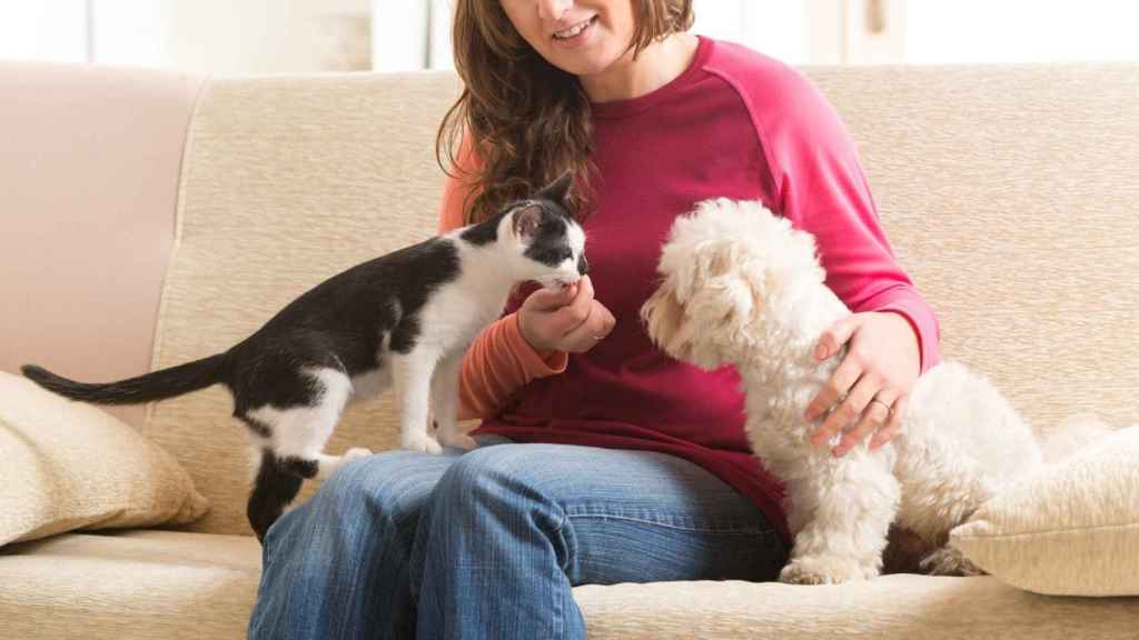 Una mujer con su perro y su gato en un sofá