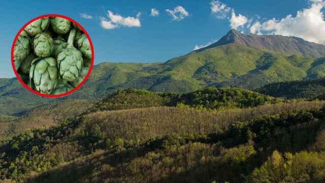 Fotomontaje de una montaña y unas alcachofas