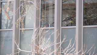 Registro de los Mossos d'Esquadra en la sede de la FCF