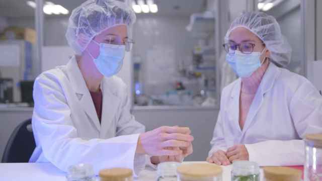 Investigadores en las instalaciones de Vytrus Biotech