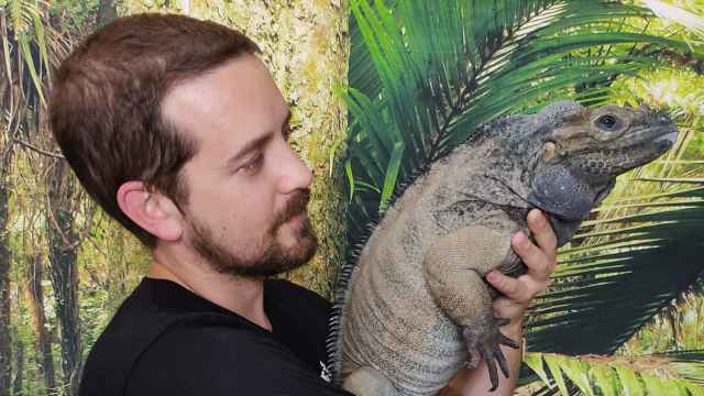Xavi Inés con una de sus seis iguanas