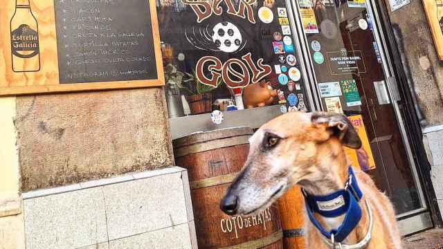 Imagen de lahistórica Bodega Gol, en Barcelona