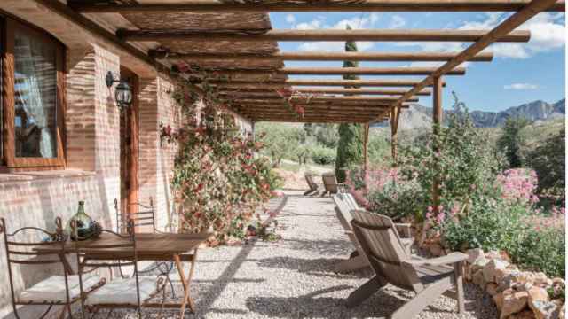 Paisaje típico de los olivares