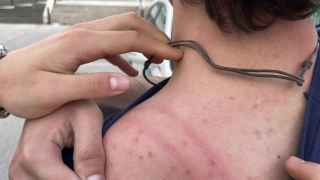 Agresión denunciada por S'ha Acabat en la Universitat Autònima de Barcelona (UAB)