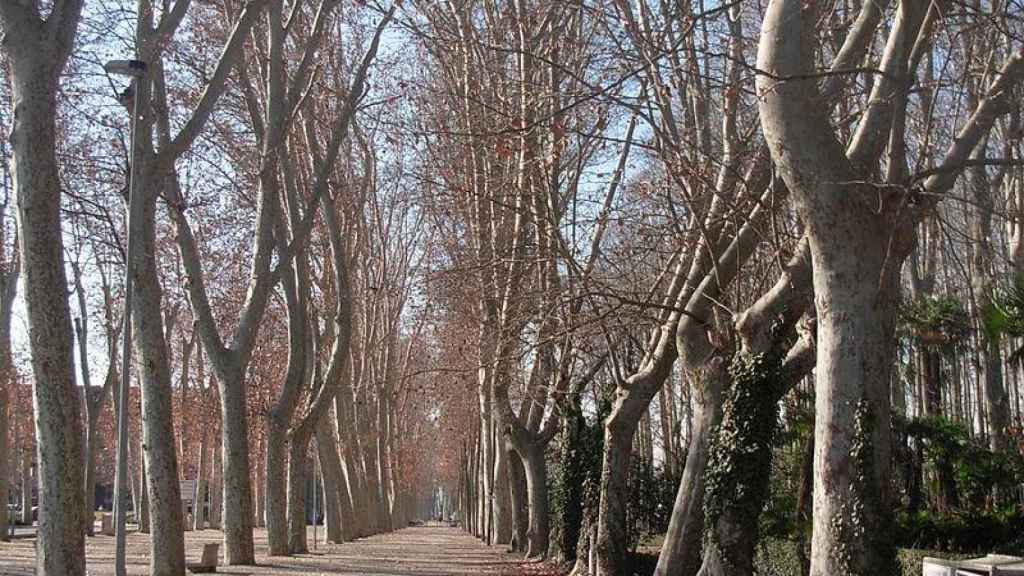 Parc de la Devesa