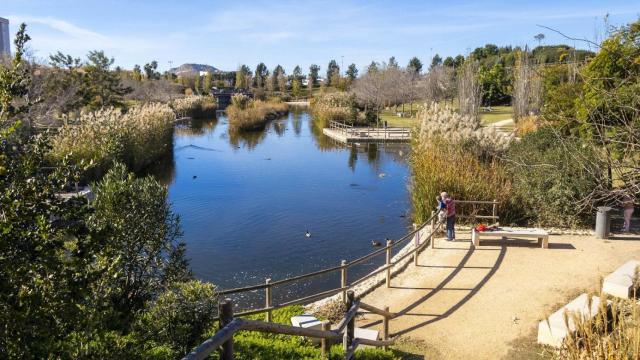 Un lago lleno de agua