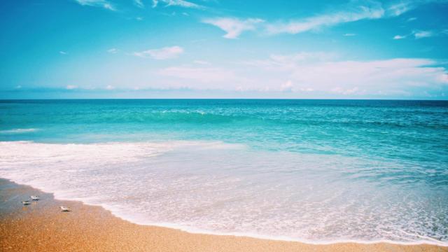 Una playa con aguas turquesas