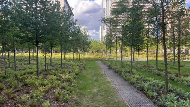 El bosque urbano Place de Catalogne, en París