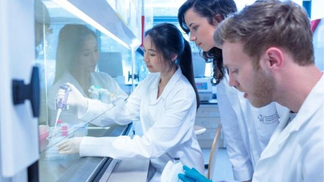 Jóvenes trabajan en un laboratorio