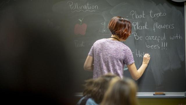 Una profesora de primaria en Estados Unidos
