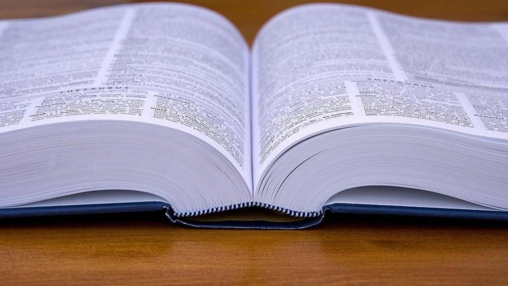 Un diccionario abierto