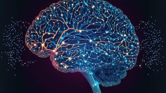 Imagen de un cerebro