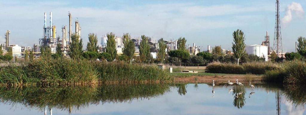 Imatge d'una planta d'Ercros a Vila-seca