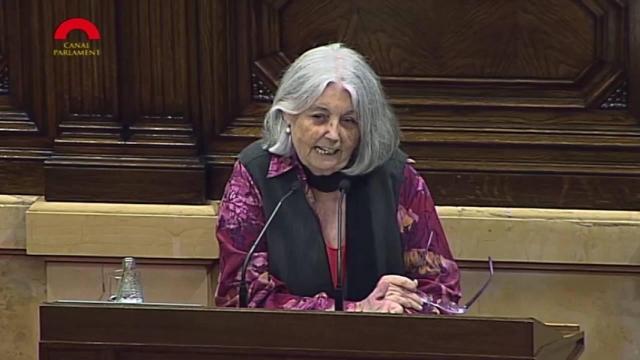 Àngels Martínez Castells, durante su etapa como diputada en el Parlament