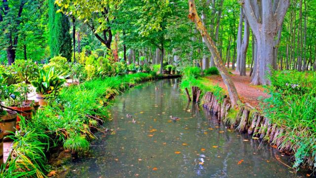 Un río en medio del parque de La Devesa