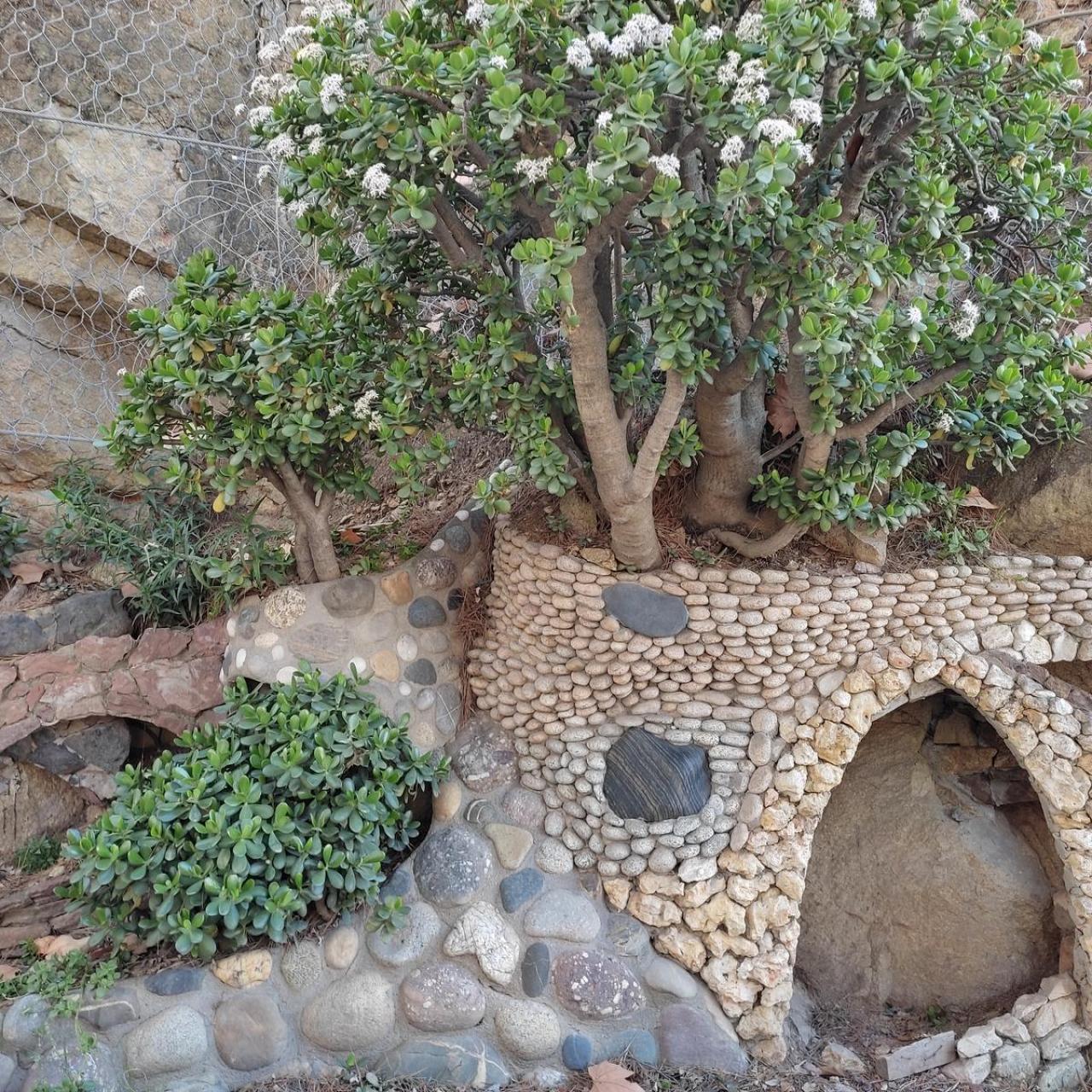 El capritx de Montbau
