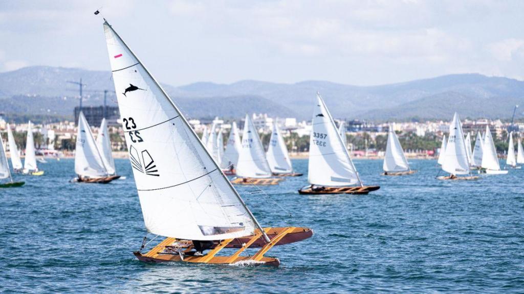 Regata de vela