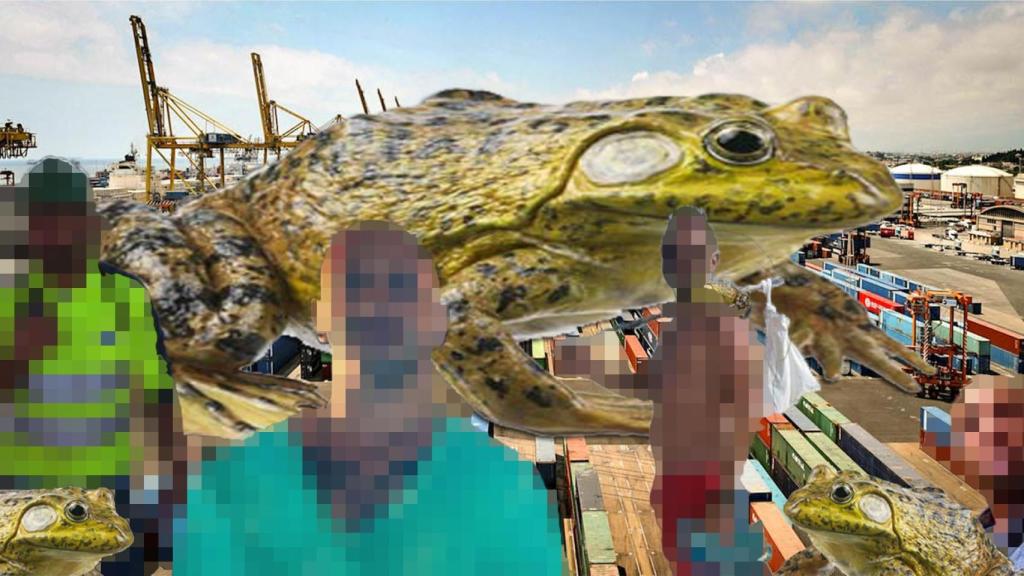 Imagen del blog Los sapos del puerto, desde donde se vertieron amenazas contra 'Bubito'