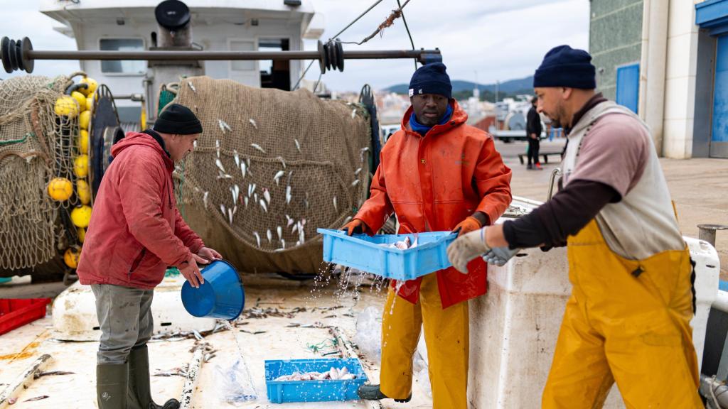 Pescadores en el Puerto de Arenys de Mar