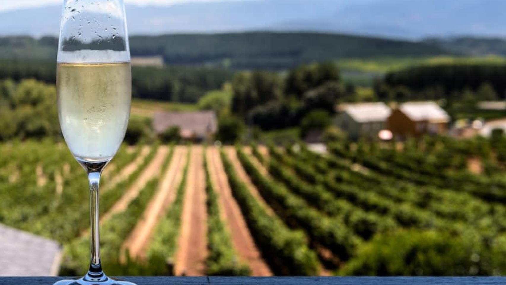 Está entre los mejores del mundo y es catalán: así es el cava que se elabora en Barcelona y es ideal para Navidad