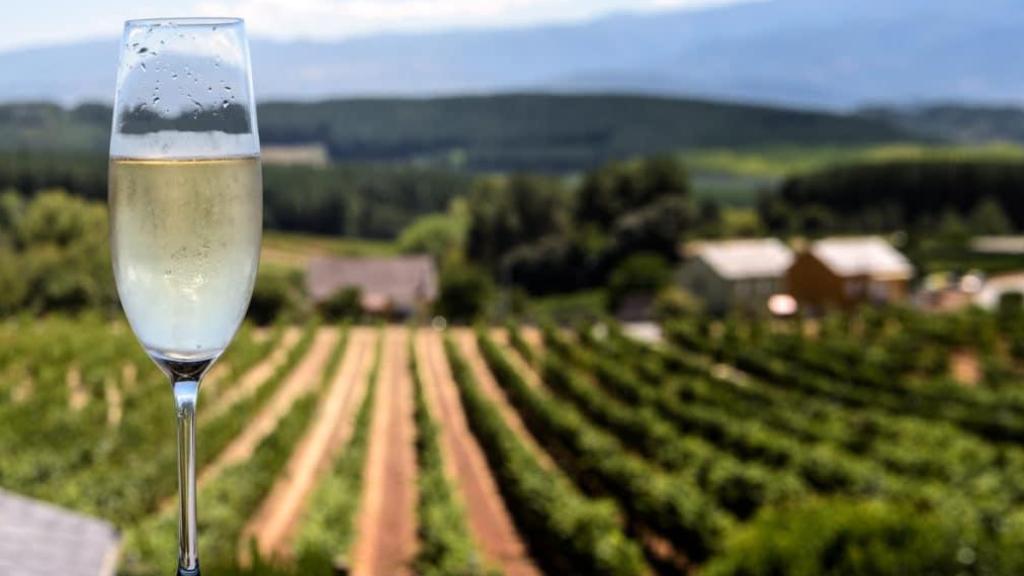 Está entre los mejores del mundo y es catalán: así es el cava que se elabora en Barcelona y es ideal para Navidad